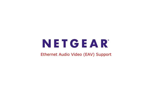 Netgear Ethernet Audio Video