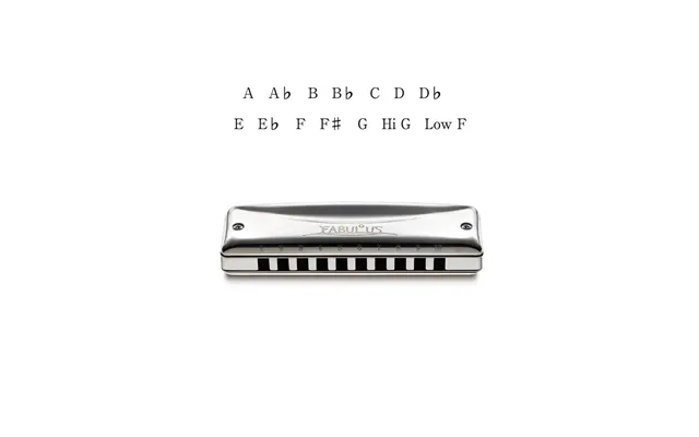 Suzuki Fabulous Harmonica F-20e In Key C