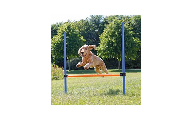 Trixie Dog Fun Agility Hurdle 123x115cm
