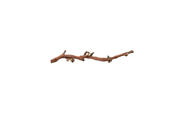 Trixie Grape Vine Water-blasted For Birds And Small Animals 40-55cm