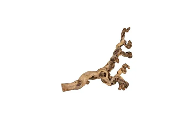 Trixie Grape Vine Water-blasted For Birds And Small Animals 55-75cm