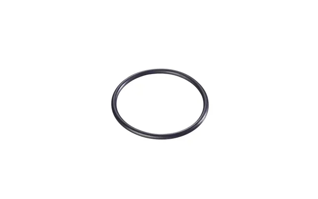 Wagner O-ring Wood&metal & Flexio