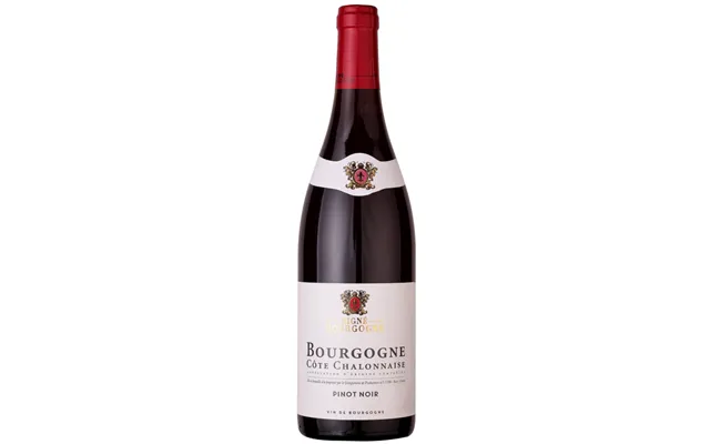 Burgundy 13% product image