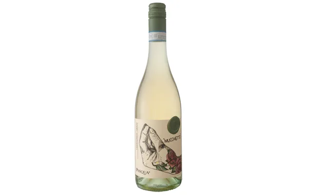 Pasqua Mucchietto 13% product image