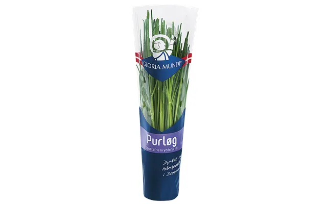 Chives product image