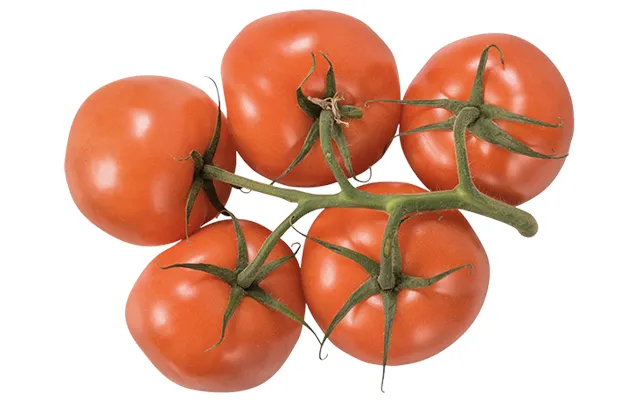 Tomater Vej Selv product image