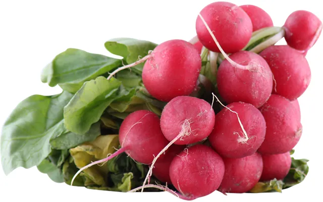 Radishes With Top product image