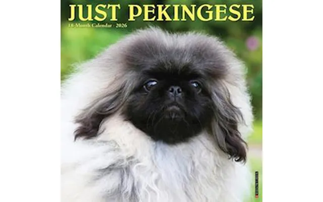 Pekingese 2026 12 X 12 Wall Calendar - Willow Creek Press