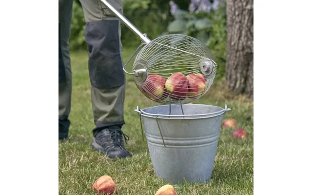 Frugtopsamler