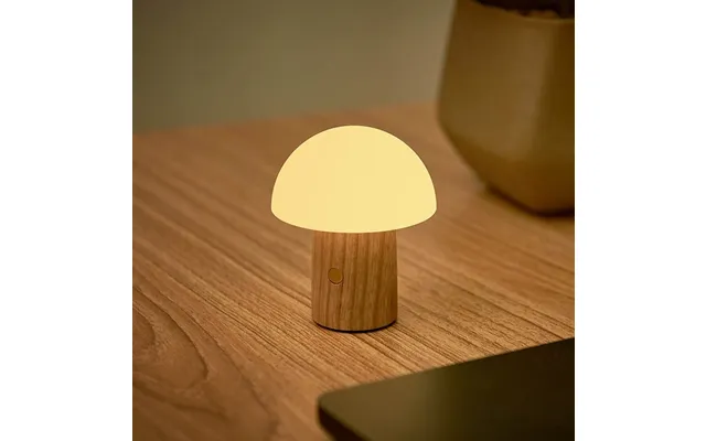 Genopladelig Svampelampe - Mini Ask