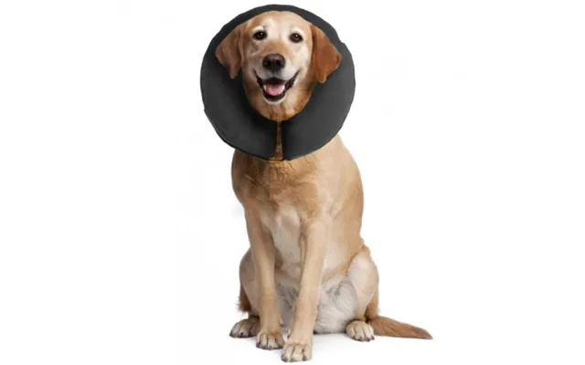 Oppustelig Krave Til Hund - X-large
