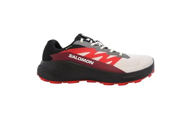 Løbesko Salomon Alphaglide Gtx