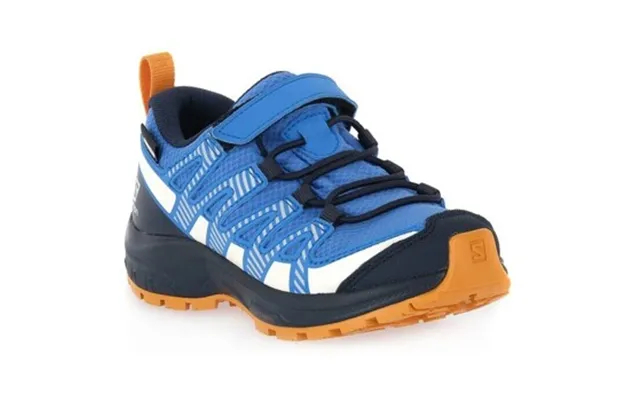 Løbesko Salomon Xa Pro V8 Cswp K