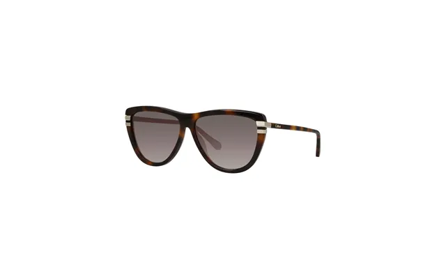 Chloe Ch0203s Solbriller - Katteøjne Skildpadde