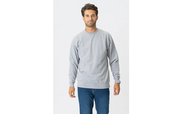 Basic Crewneck - Gray product image