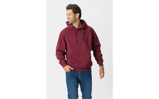 Basic Hoodie - Bordeaux Rød product image