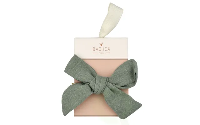 Bachca Paris Alice Bow Hair Clip 1 Piece Green