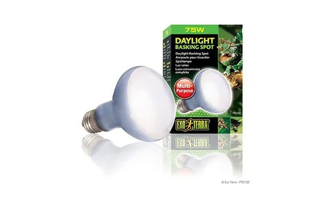 Exoterra Daylight Basking 75w R20 E27 Grøn - 220.2720 product image
