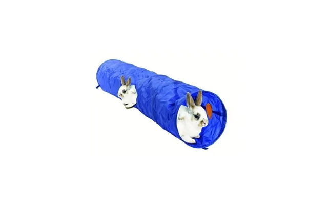Rabbit Tunnel Roadster