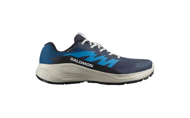 Salomon Alphaglide Gtx - Løbesko