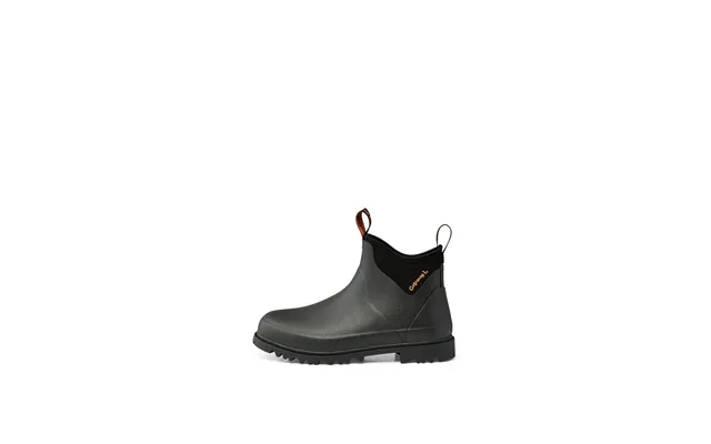 Ascot Lady Ii 6 - 42