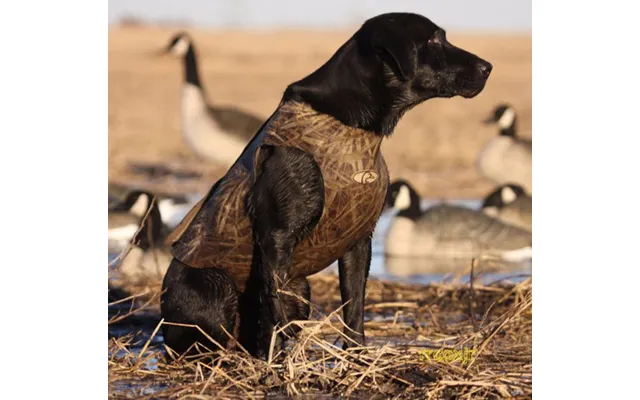 Neopren Hundevest - Xs