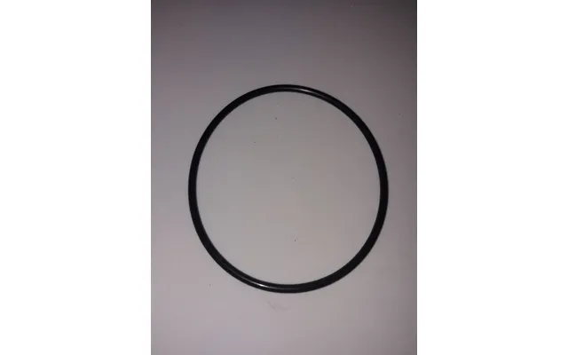 O-ring Hy-filter 2200 2250