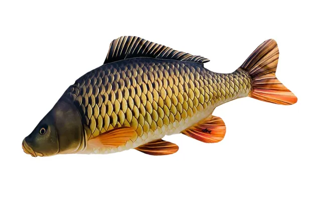 Skælkarpe Fiskepude