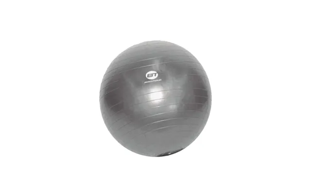 Bodytone Fitness Ball Træningsbold 55 Cm