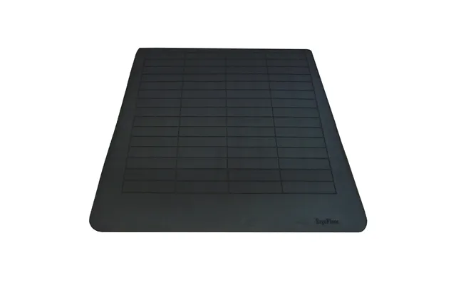 Ergofloor - Ergoramp Gummirampe 100 X 800 X 900 Mm