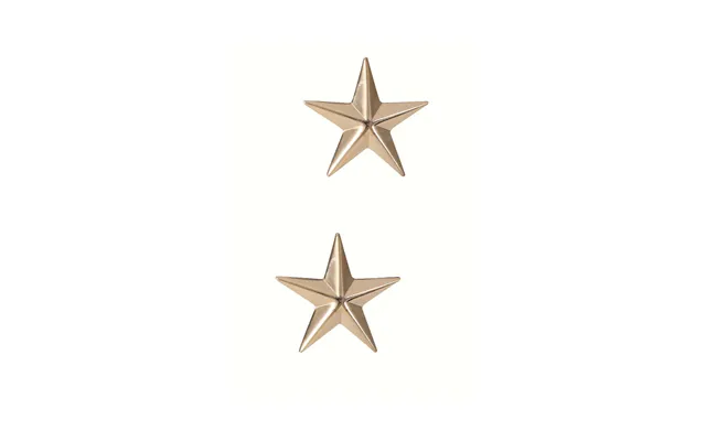 Rothco Gradtegn - Us Brigadier General Stjerner Gold