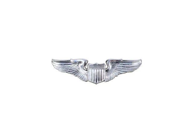 Rothco Pin - Usaf Pilot Wing