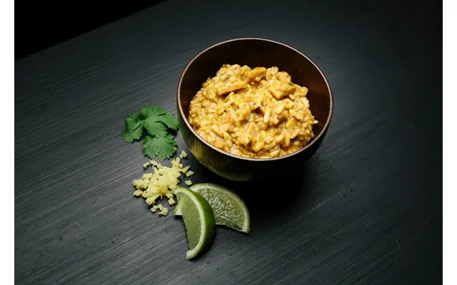 Real Field Meal - Kylling Tikka Masala