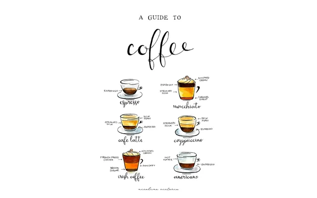 Coffee Guide - Nicoline Victoria