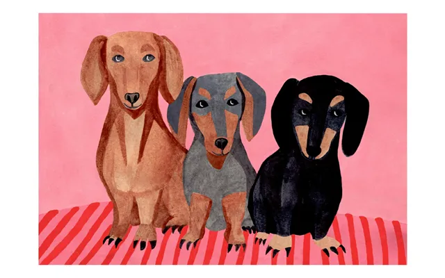 Dachshunds - Iga Kosicka