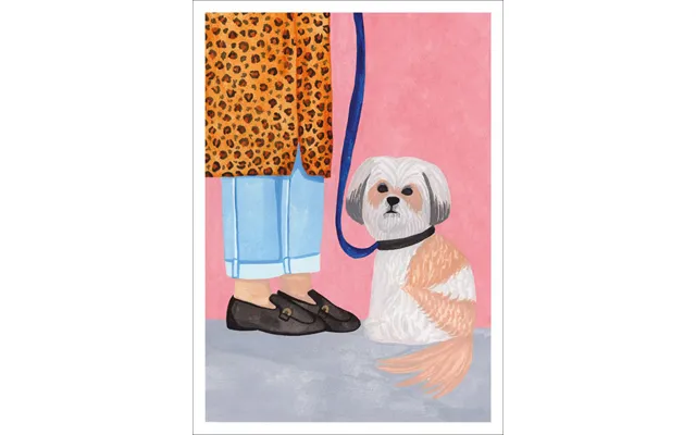 Dog And Fashion - Iga Kosicka