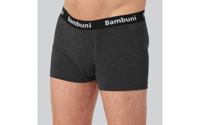 Bambus Inkontinens Underbukser I Koksgrå