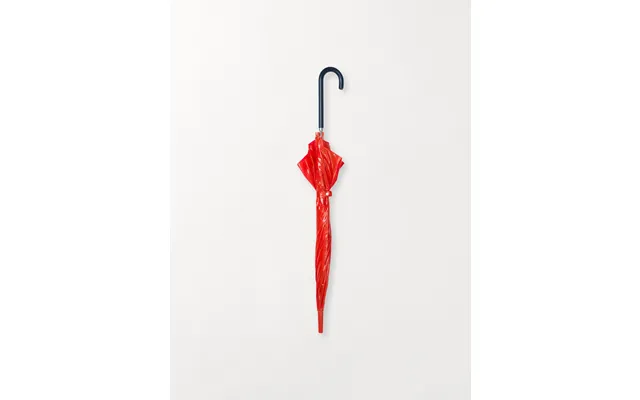 Umbrella Transparent