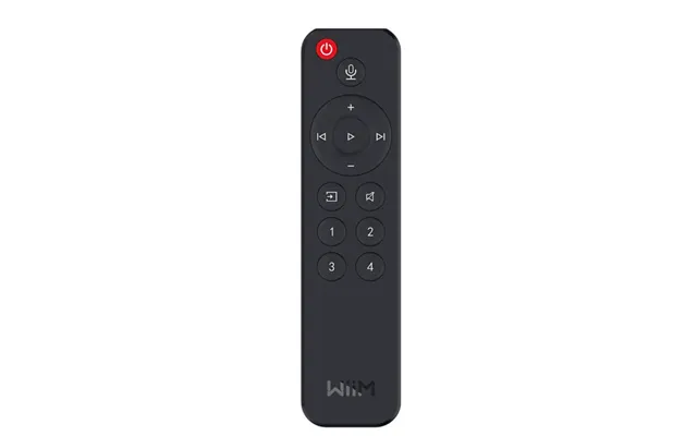 Wiim Remote