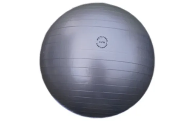 Træningsbold 75 Cm Grå - Nordic Strength