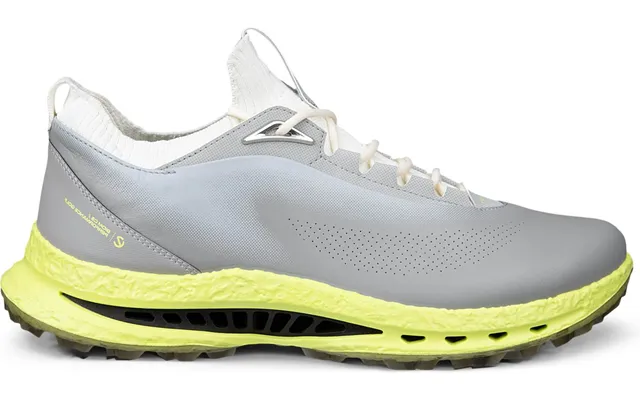 Ecco Biom C5 Vandtætte Herre Golfsko Uden Spikes - Wild Dove Wild Dove