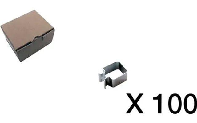 100 Fjeder For Id-jern