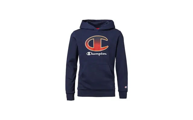 Champion Hooded Sweatshirt Børn