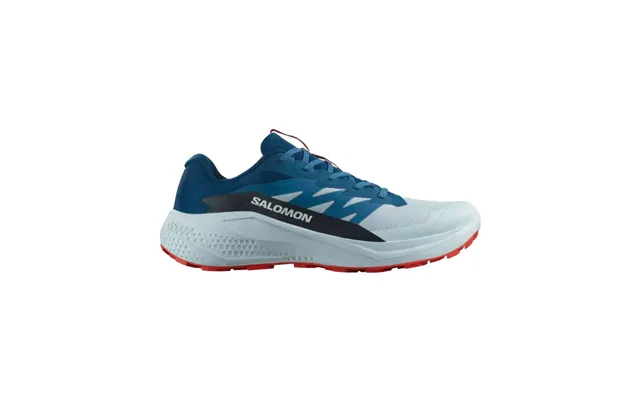 Salomon Alphaglide Sko Herre
