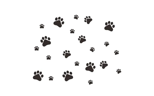 Hunde Wallsticker Med Søde Hundepoter. Få Hunde Poteaftryk På Væggen