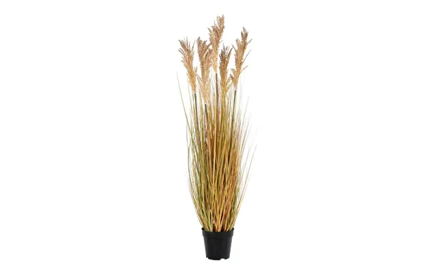 Sorghum Grass - Kunstig Plante