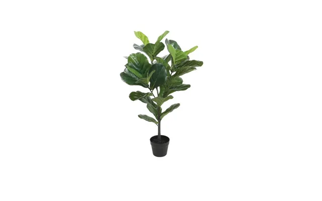 Violinfigen Green