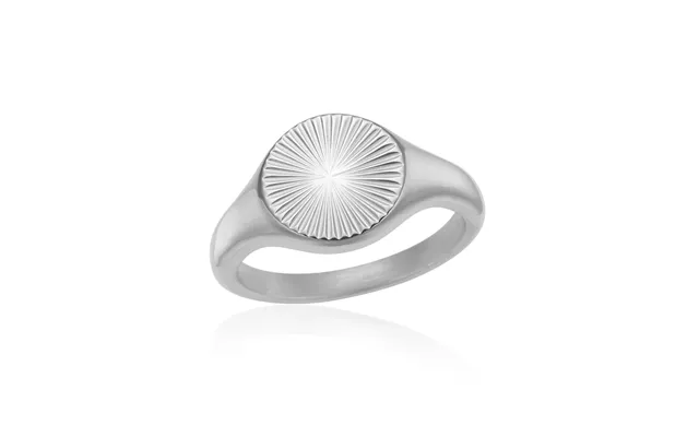 Sunshine Signet Ring I Stål Nyhed - 68