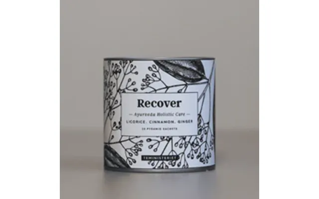 Ayurveda Te - Recover, Pyramide Te