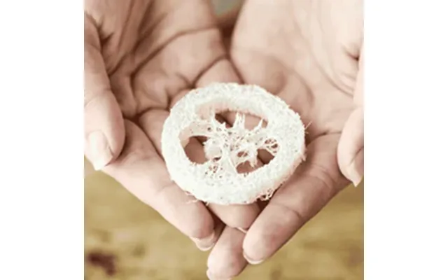 Loofah Sæbeholder